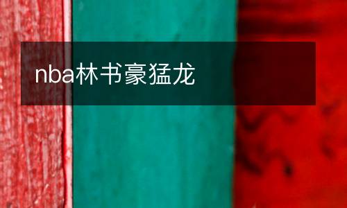 nba林書豪猛龍