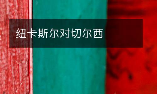 紐卡斯?fàn)枌?duì)切爾西