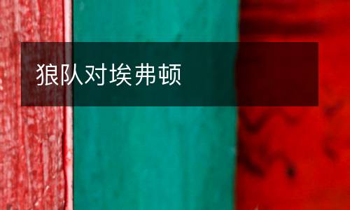 狼隊(duì)對埃弗頓