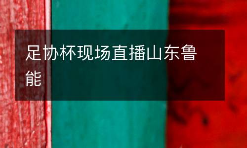 足協(xié)杯現(xiàn)場(chǎng)直播山東魯能