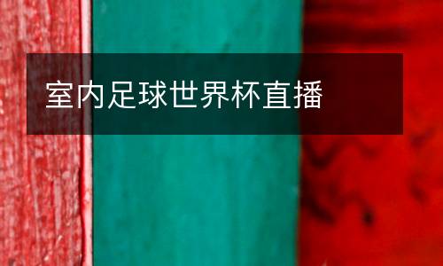 室內足球世界杯直播
