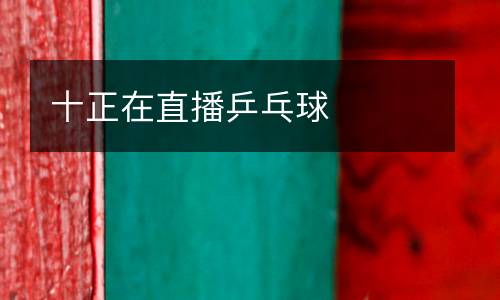 十正在直播乒乓球
