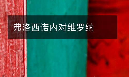 弗洛西諾內(nèi)對(duì)維羅納